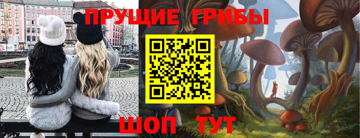 Псилоцибиновые грибы мицелий Коркино