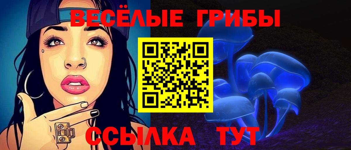Коркино  Галлюциногенные грибы Psilocybe  Вход с VPN 